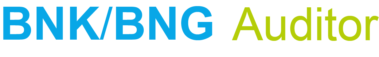 BNK/BNG-Auditor (BiRN)
